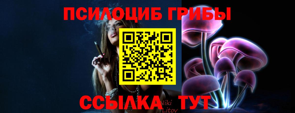 Галлюциногенные грибы MAGIC MUSHROOMS  Вход с VPN  Рославль 